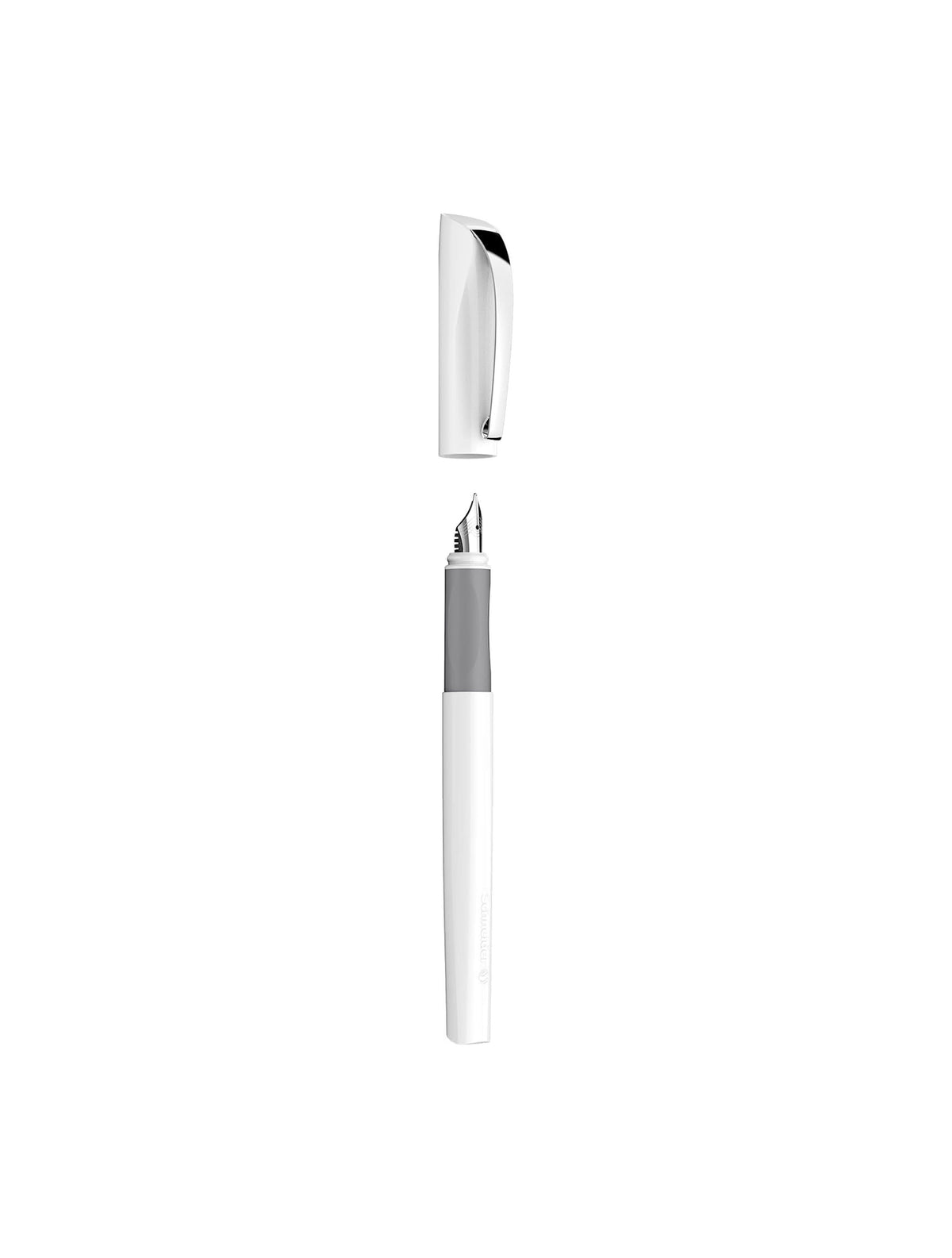 Pluma Fuente - Schneider