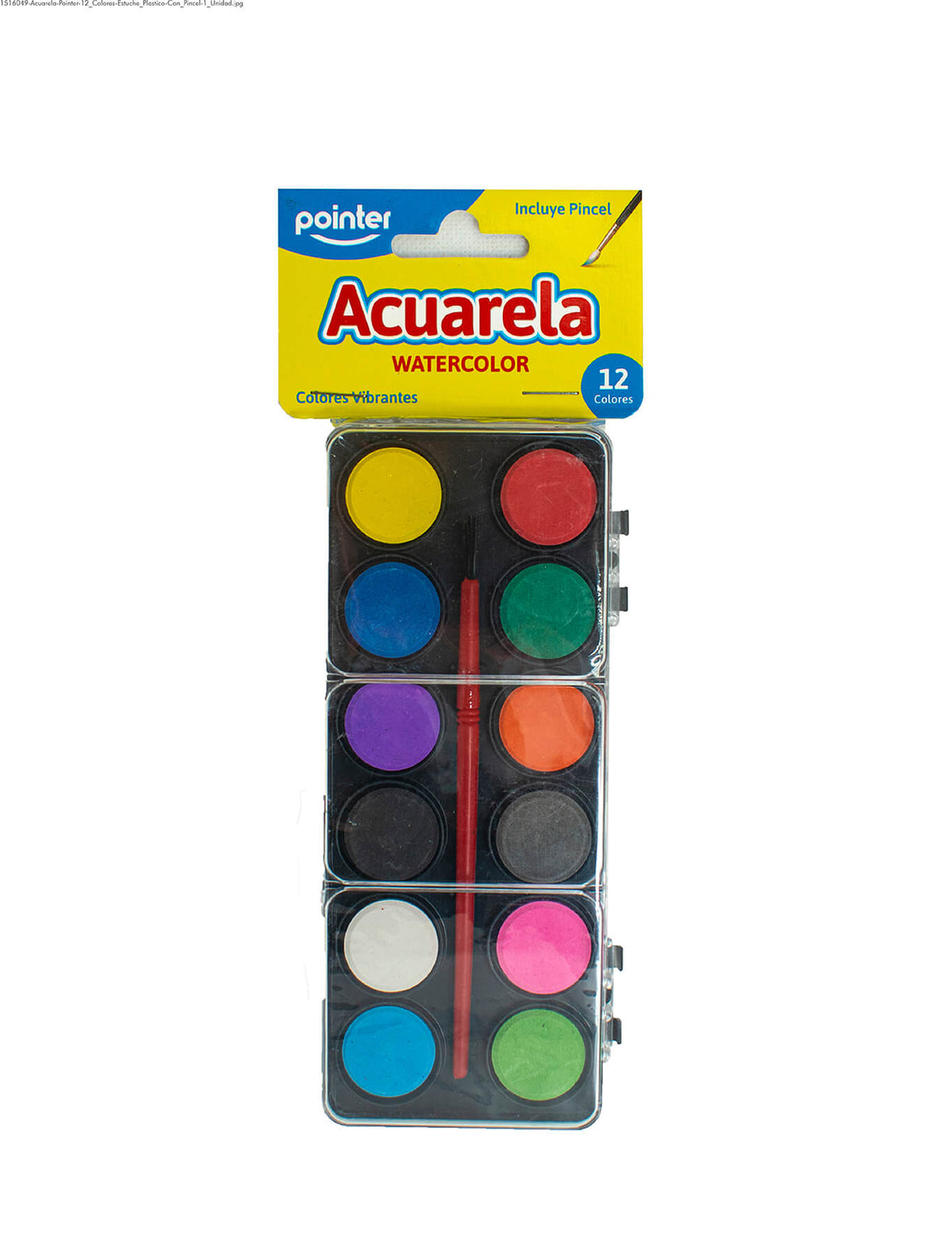 Set de Acuarelas - Pointer