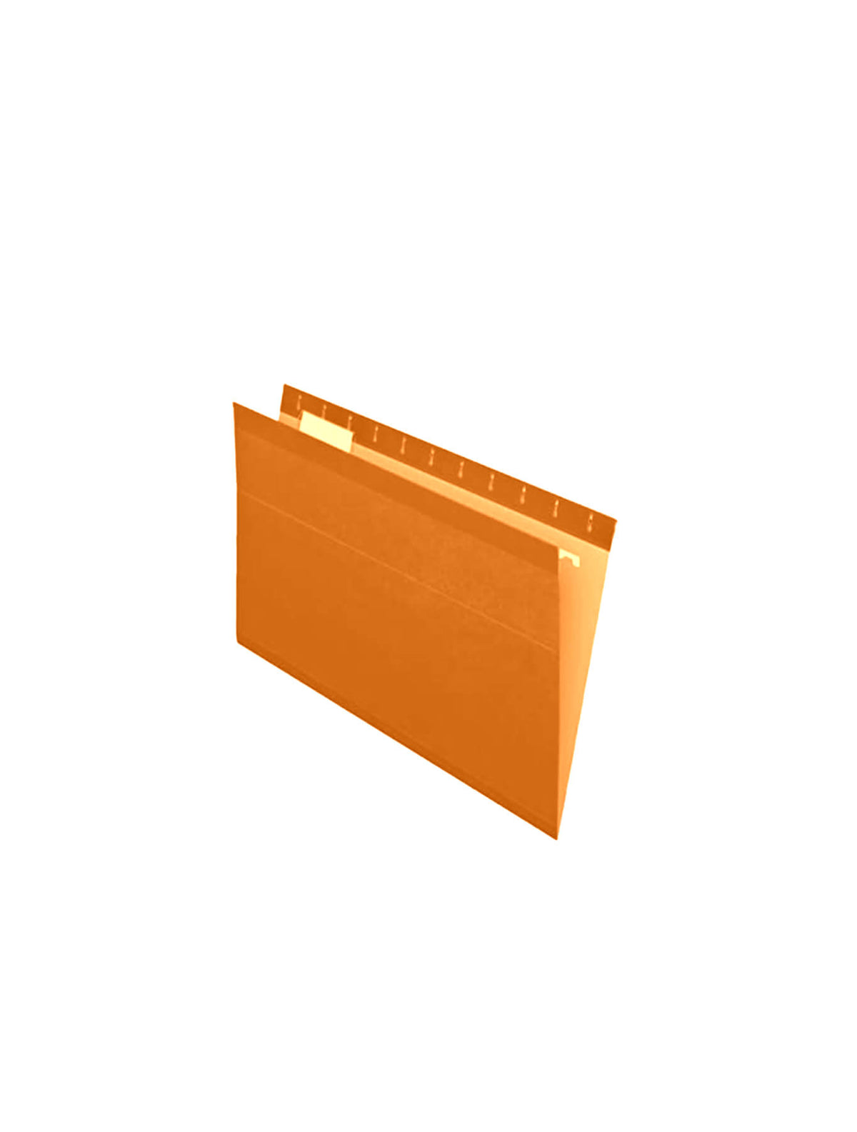 Folder Colgante - Pendaflex