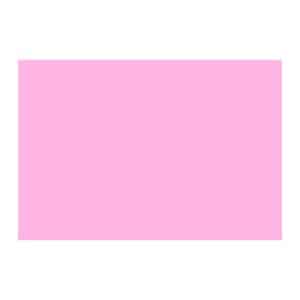 Cartulina - Arco Iris - Rosado - 18X25 Pulgadas - En Pliego - 1 Unidad