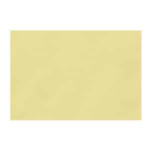 Cartulina - Cascara de Huevo - Piel - 18X25 Pulgadas - En Pliego - 1 Unidad