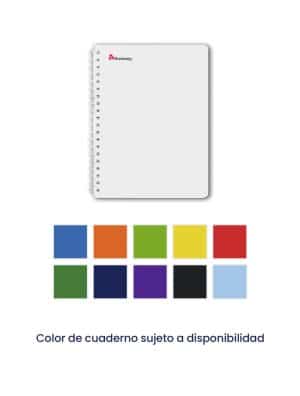 Cuaderno Doble Anillo-Universitario-Arimany-Cuadros de 5 Milimetros-Color de Portada Varía-100 Hojas-1 Unidad